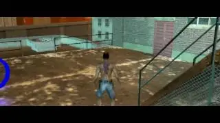 A Riskful Life