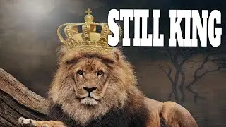 The KING of Tier 6 Heavies