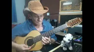 Helio augusto , Solo de viola Mala amarela