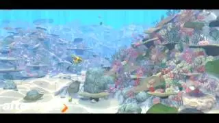 seaSafari wholeShow rus
