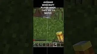 average minecraft player#gamer #minecraft #extremegamer #memes #