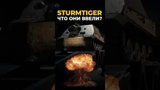HOW DOES STORMTIGER BREAK RANDOM? &ndash; BLOGGERS&rsquo; REACTIONS
