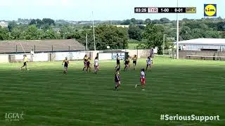 Tyrone v Wexford - Lidl NFL Div 2 Relegation Final