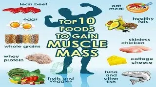 Top 10  foods to gain muscle mass and strength