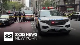Bronx man charged in hit-and-run that killed German tourist, NYPD says