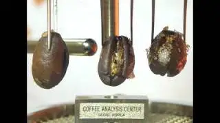 Coffee roasting technique by COFFEE ANALYSIS CENTER in korea