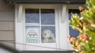 The Easter Bunny Is An Essential Worker, New Zealand's Ardern Says