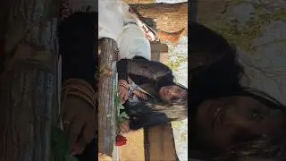 kisi dilwali ne&hearts;️😍✨kisi matwali ne🥰🥀 #explore #love #explorepage #border2 #shorts #trending #viral
