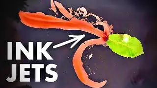 Magical Ink Leaf Boat That Actually Floats! 🌿🛶 | Naman Factory