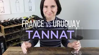 France vs Uruguay Tannat Wine