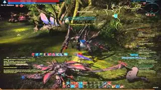 Tera Online. History Glaive Part 44