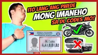 LTO DRIVER'S LICENSE CODES 2024 | MGA SASAKYAN NA PWEDE MO LANG IMANEHO AYON SA IYONG LISENSYA 2024