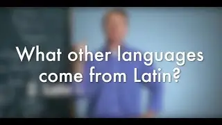 What other Languages come from Latin?