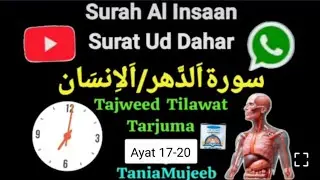 Surah Al Insaan ki Full Tajweed#arbic#tilawat#rules#Tarjuma#urdu سورہ انسان 