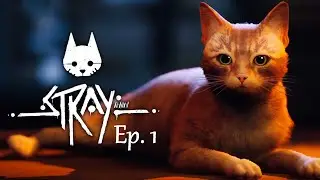 Stray - Ep1 otra vez || Esta vez si que me lo paso