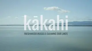 Kākahi
