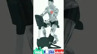 #shorts #fitness #gym #health #whatsapp #status #bodybuilding #abs #workout #healthylife #wwe #music