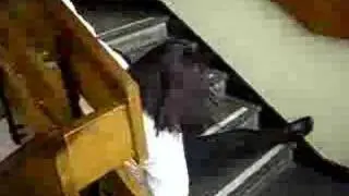 katie ramsden falling down stair NO.1