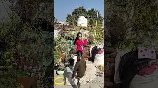 #patang #festival #makarsankranti #sister