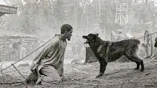 TRUE STORY | Slave Escapes Brutal Louisiana Plantation to Find Freedom | Emancipation (2022)
