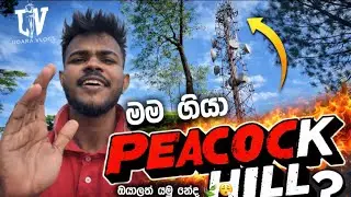 Peacock Hill Pussellawa 🏞️ | Sri Lanka&rsquo;s Hidden Hiking Paradise 🇱🇰