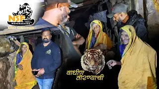 वाघीण तोरण्याची ढेबे आजी