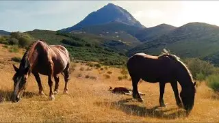 Prados Cimeros (Valverde de la Sierra, Le&oacute;n)