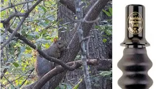 Quaker Boy Squirrel Scolder Hand Call