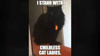 Childless Cat Ladies (parody/satire)
