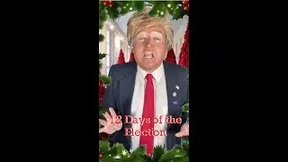 4th Day Of The Election (12 Days of Christmas Parody)