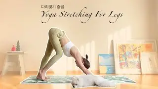 다리찢기 도전 / 중급자용 / Lv2 / 하누만아사나