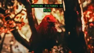 Shorbanoor x Alien Panda Jury - Run (Official Music Video)