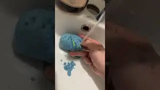 РАСКОПАЛ МОРСКИХ ГАДОВ !!🤣🤣 #shorts