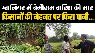Gwalior-Chambal में Rain Alert, किसानों की फसले हुईं खराब, देखिए Report
