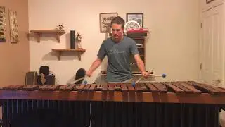 Super Mario Bros. on Marimba by Aaron DeWayne