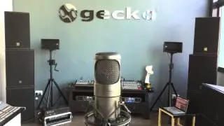 GECKO&reg; EXODUS ODYSSEY MXR 5204L C.R.I.S.T.A.L.&reg; Audiophile Music Listening Experience 1