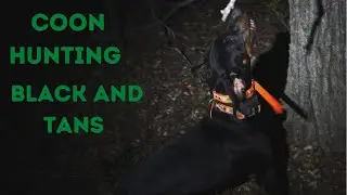 Coon hunting with black and tan hounds in Texas with James Blackburn.