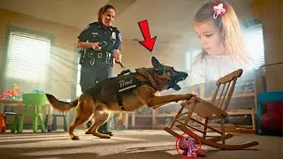 K9 Dog Uncovers Daycare Secret&mdash;Reopens a 2 Year Old Girl&rsquo;s Death Case