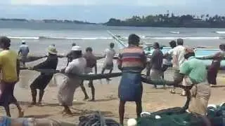 Relevage d'un filet de p&ecirc;cheur pr&egrave;s de Marissa au Sri Lanka
