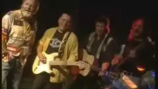 Kameleoni - Žarek skozi meglo dneva