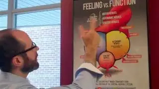 Feeling vs. Function - How important is pain? Annex Toronto ON Chiropractor