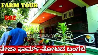 FARM TOUR-ಕರೆಂಟ್ ಇಲ್ಲದೆ ಈ ತೋಟದ ಮೋಟಾರ್ 10 ಗಂಟೆ ಓಡುತ್ತೆ -Ep02-Teja Nursery-Shivanapura Ramesh-#param