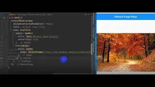 8. Network Image Setup #flutter #fluttertutorial #careerdevise #mobileapps