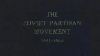 The Soviet Partisan Movement by Howell Book Review (Google Notebook LLM Deep Dive)