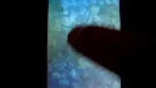 iPhone App of the Week 8.8.08 - Koi Pond
