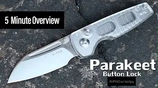 Kizer Parakeet Folding Knife | 5-Minute Overview | Atlantic Knife