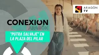 Isabel Aai&uacute;n suelta su 