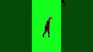 Dance meme nigga