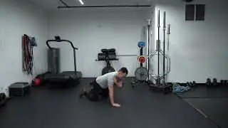 All Fours Single Arm Scap Press