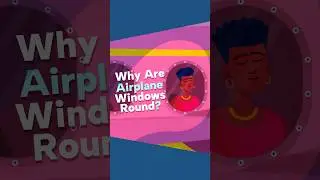 Why Are Airplane Windows Round? #microlearning #airplanesafety #animation #science #aviationhistory